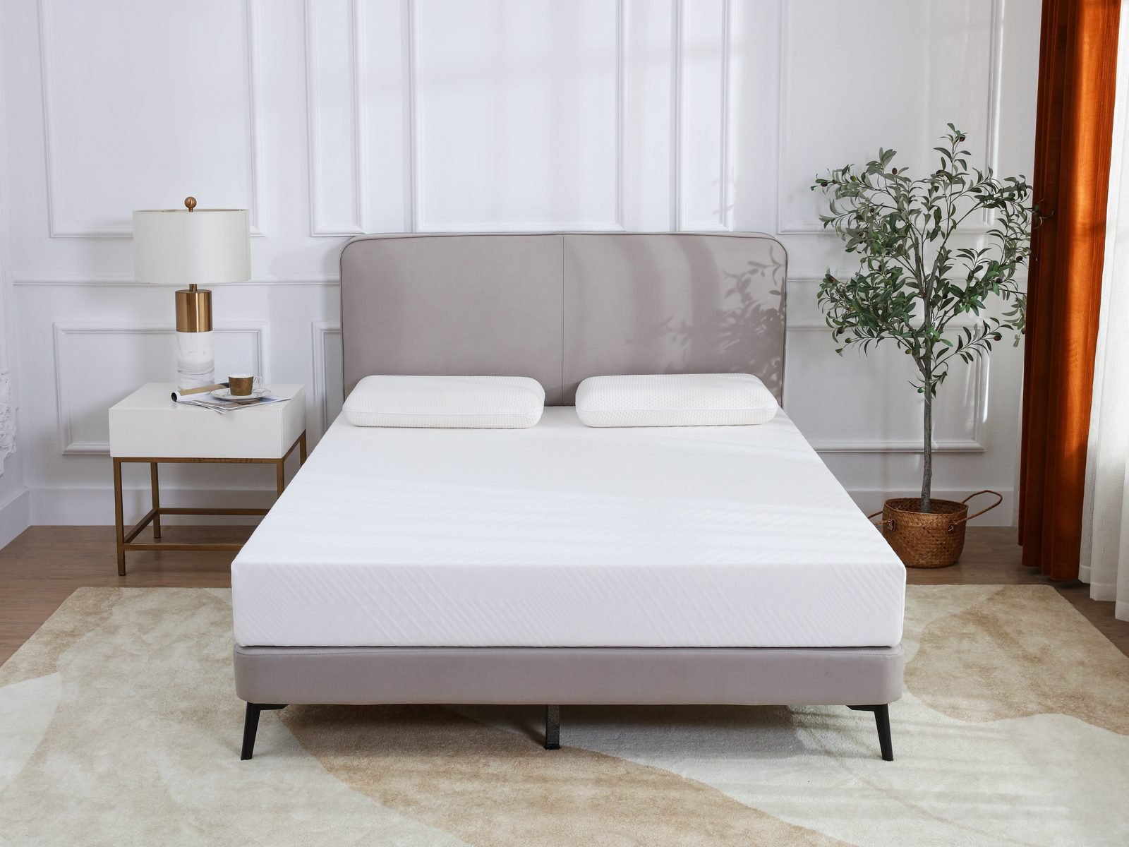 Queen 10 Inch Memory Foam Mattress in a Box